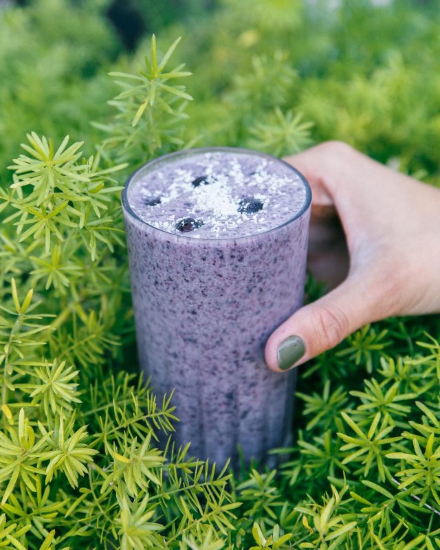 Licuados en primavera ¡Por favor! 🙏😍

La manera más fácil y rica para refrescarte y nutrirte

Combina nuestras proteínas como más te guste 🌱